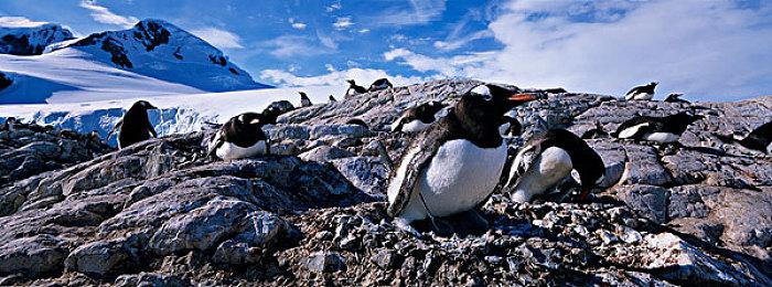 《忍者龙剑传4》难度模式介绍 选择你想要的挑战